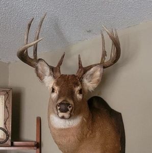 Meet your Posher, Tim